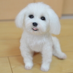 オーダー品　マルチーズNENEちゃん