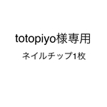 totopiyo様専用