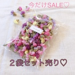 【期間限定】 ２袋セット 大容量 スターチス ドライフラワー ♡
