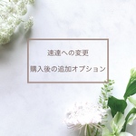 速達送料や、購入後の追加オプション