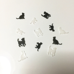 光る黒猫さんと白猫さん！