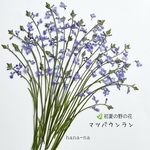 🎵野の花 マツバウンラン  20本  ＊ 押し花