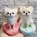 【muuta827 様専用】ミニチュア手乗りわんこ チワワ