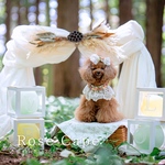 薔薇のケープ（ケープ、つけ襟、スタイ、犬、猫、リボン）