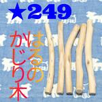 ！113.犬用、梨の木新品枝おもちゃ超小型犬向け？歯固め、かじり木新品あまがみ