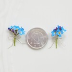 ﾐﾆ布花♡勿忘草(ﾜｽﾚﾅｸﾞｻ)＊花束風♡1円ｻｲｽﾞｼﾘｰｽﾞ♡素材