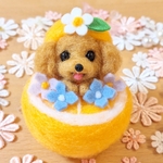 オレンジ トイプードル ☆ 羊毛フェルト ぬいぐるみ 犬 可愛い 6月飾り 夏
