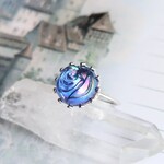 精霊魔法の指輪【25】(魔法のお道具シリーズ842）