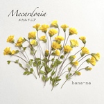 🌼メカルドニア　＊ 押し花