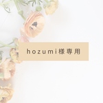 hozumi様　リメイクチップ