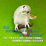 かしげインコ指輪