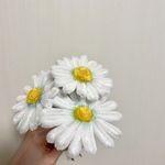 ふわもこ　マーガレット