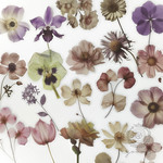 押し花シール EMBOSSED DIARY <S965>