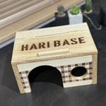 ハリネズミの宝石箱のおうち。