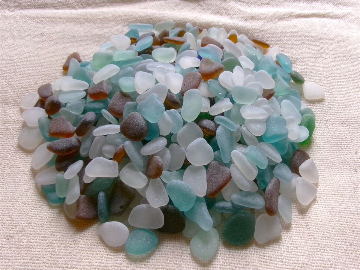 良質イルカの耳骨①（あぶみ）希少部位有り - AMULE-BEACH 海の