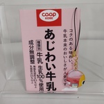 【リメイク】牛乳パック名刺入れ（マカロンストラップ付き）　ハンドメイド
