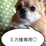 ミカ様専用ページ♡