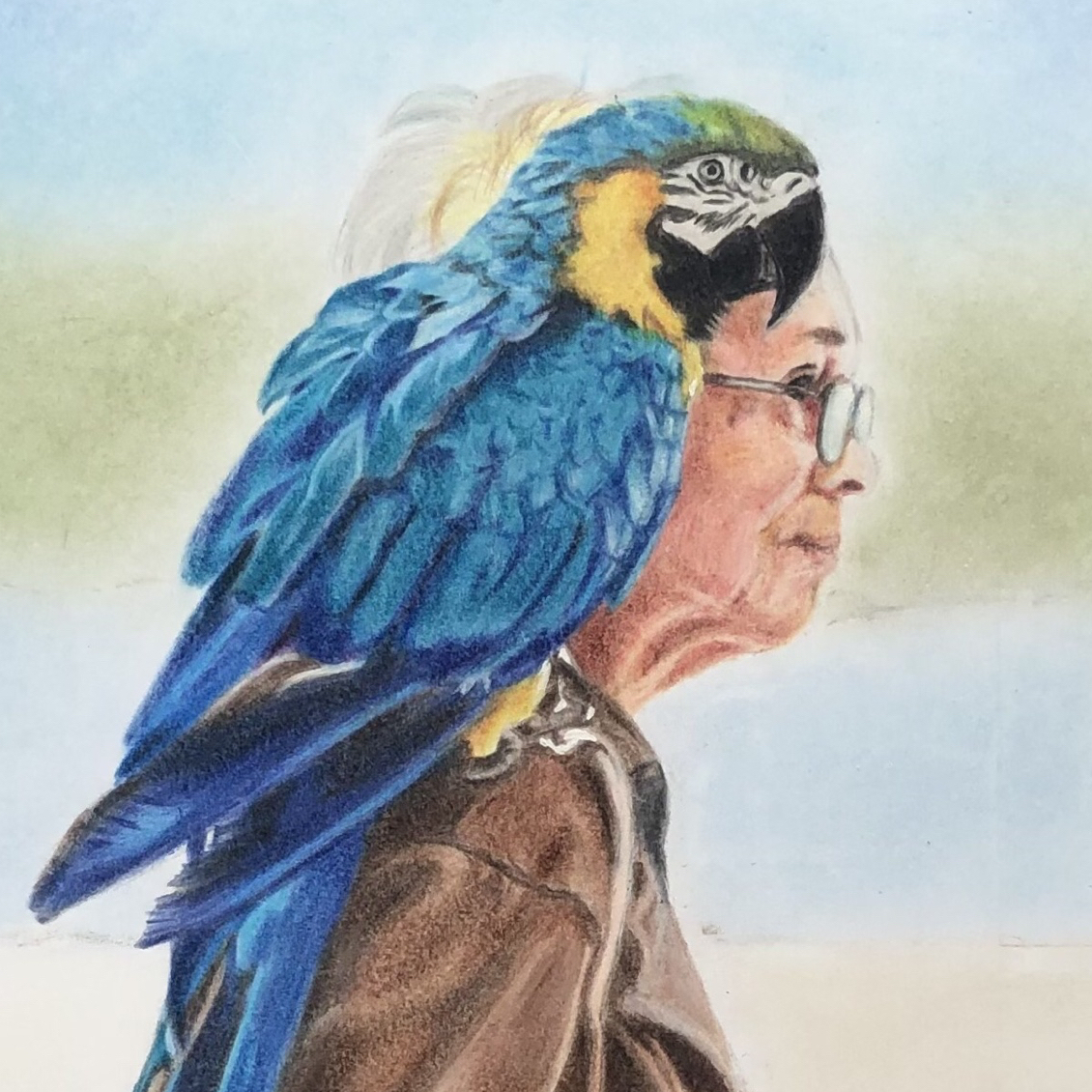 オーダーメイド A4縦 ルリコンゴウインコ おじいちゃん 色鉛筆画
