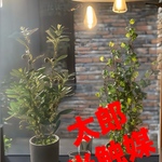 光触媒　人工観葉植物　ウォールグリーン　フェイクグリーン　オリーブとバロック58