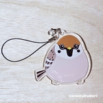 野鳥アクリルストラップ（スズメちゅんのストラップ）　雀　すずめ　野鳥　動物　キーホルダー　ギフト