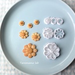 草花シリーズ　マトリカリア