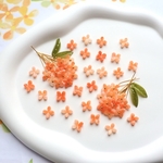 オリジナル新色★8mm キンモクセイ　お花のパーツ　アセテート　樹脂　オレンジグラデーション