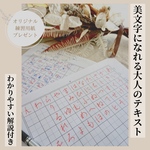 解説付き！大人の美文字ひらがなテキスト