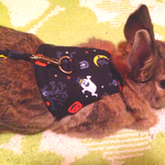 うさぎ用ハーネス  ハロウィン❤︎ブラック