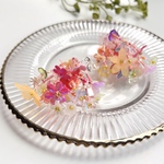 フラワーシャワー Flower Shower Mix Pink