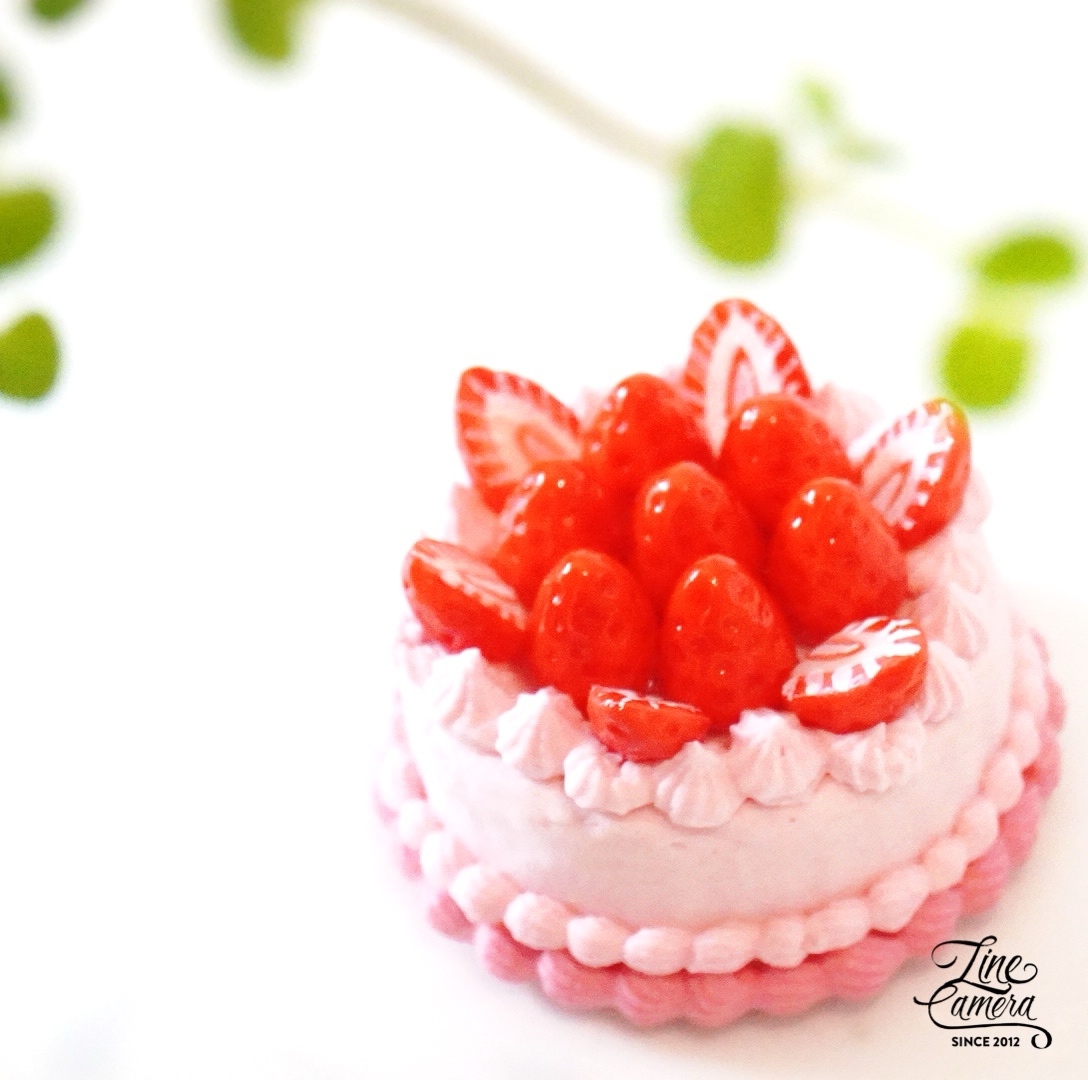 ショートケーキ - ミニチュアの人気通販 | minne byGMOペパボ