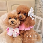 ピンクデニムのリボン付きケープ（つけ襟、ケープ、犬、猫、うさぎ、誕生日、記念日）