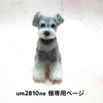 送料無料「手乗り シュナウザーちゃん」羊毛フェルト  