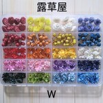 ●ケース入り花材セットW イモーテル ペッパーベリー スターフラワー●