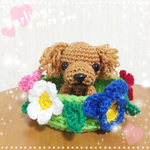 オーダー注文商品☆お花カゴに入ったトイプードルちゃん
