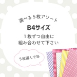 5枚アソート専用ページ