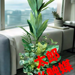 光触媒　人工観葉植物　ウォールグリーン　フェイク　フラワー　マッサンアレンジg1