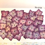 ♡new♡紫陽花の押し花セット♡