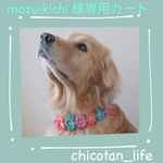 ⭐︎mozu-kichi 様専用カート⭐︎他の方のご購入はお控えください