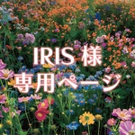 🌷IRIS様専用ページ🌷ガラスフラワーピアス
