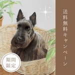 【送料無料キャンペーン】　期間限定で送料無料にてオーダーを承ります　ペットの似顔絵　オーダーメイド　ねこ　いぬ