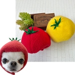 🍅トマトの被り物🍅