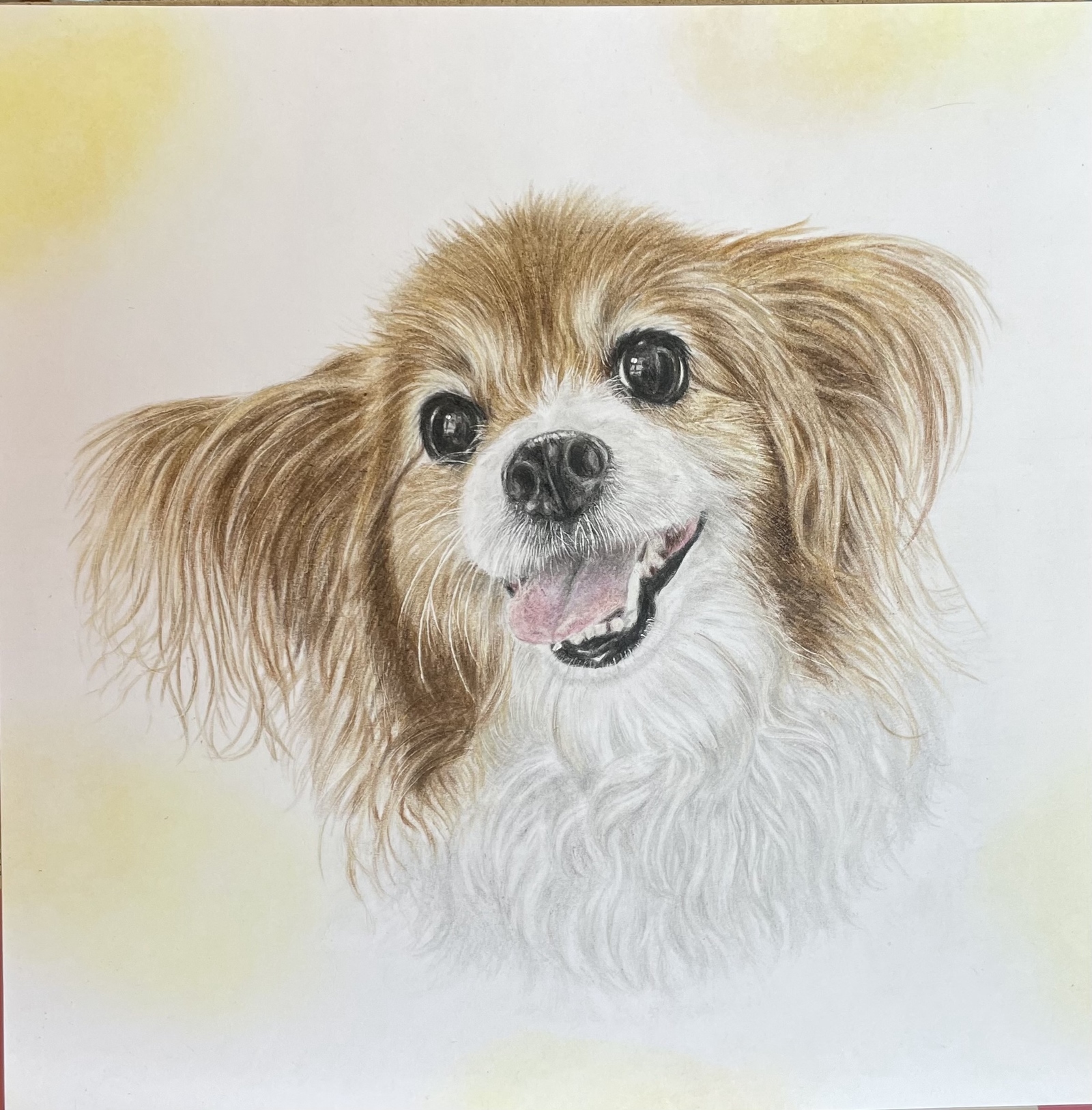 スクエアタイプ 色鉛筆画 犬猫の癒し絵 - RUBAN DE BETTY'S GALLERY