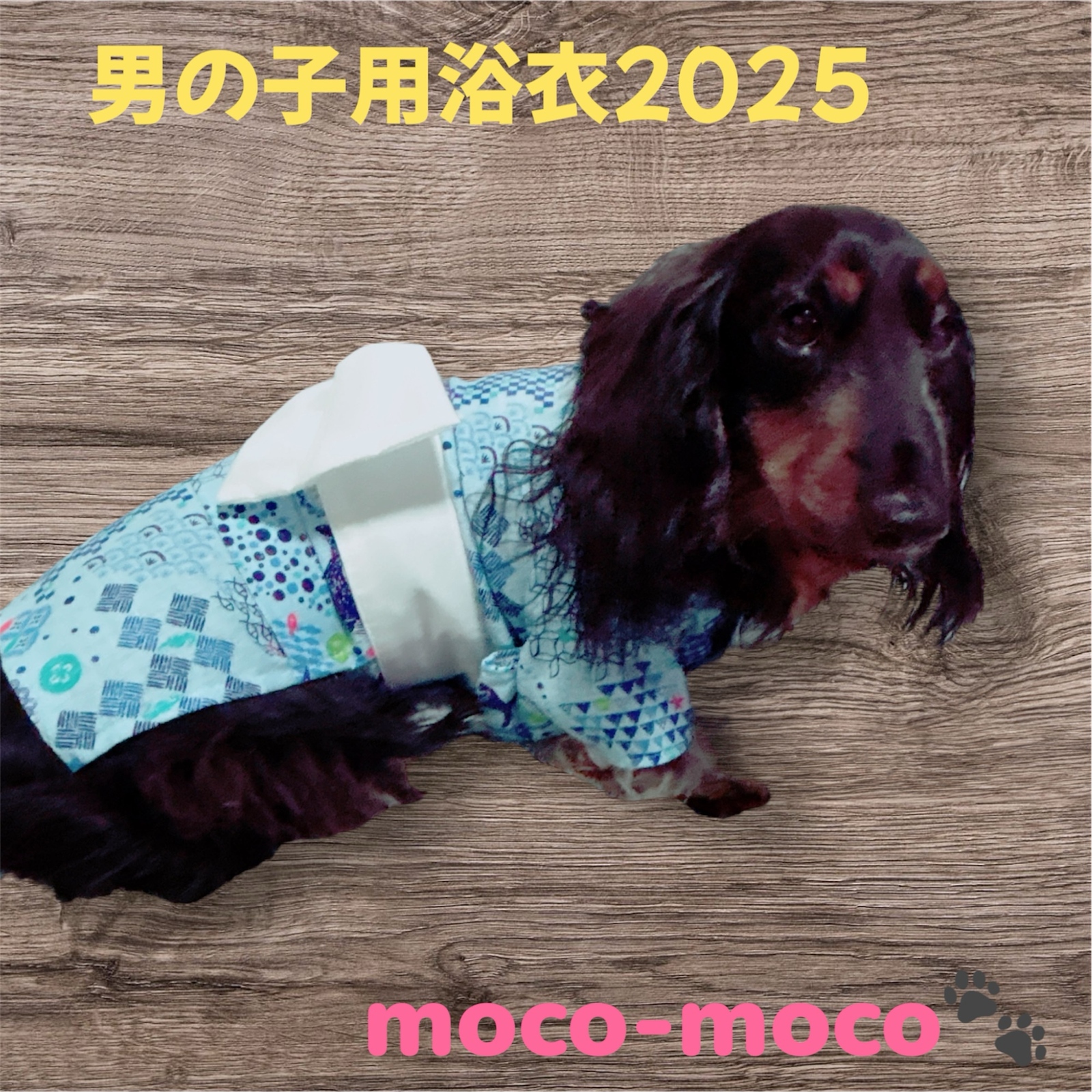 2025 犬用浴衣🌺男の子用🌺オーダー受け付け開始しました - 犬服と