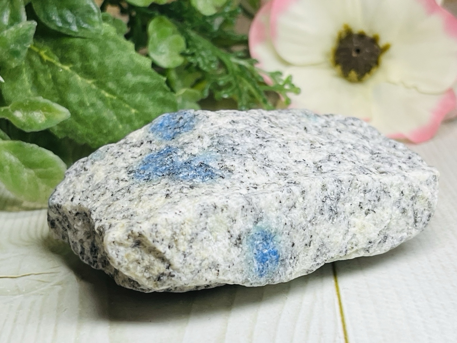 幻のヒスイ　北海道　日高翡翠　穴あき　丸玉　第三の翡翠 幻のヒスイ 北海道 日高翡翠 穴あき 丸玉 第三の翡翠
