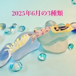 <ミニフィギュア>〜2025年6月の3種類〜