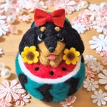 すいかダックス 🍉 ブラックタン ☆ 羊毛フェルト ぬいぐるみ 犬 可愛い  夏
