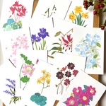 12ヶ月の花のカード‘25