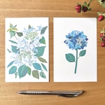 期間限定【紫陽花の貼り絵コラージュ】作り方テキスト＆ポストカードセット