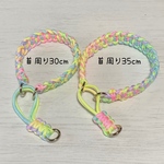 パラコード　　ハーフチョーク　首輪　30cm レインボーカラー　パステル