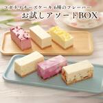 コガネイチーズケーキ 6種アソートBOX（6個入）